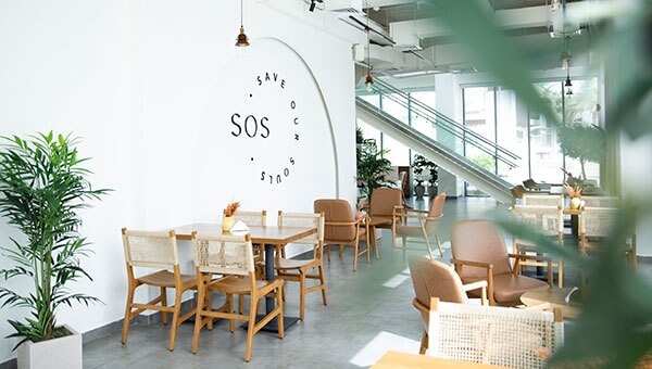 hill-rope-chair-image-5