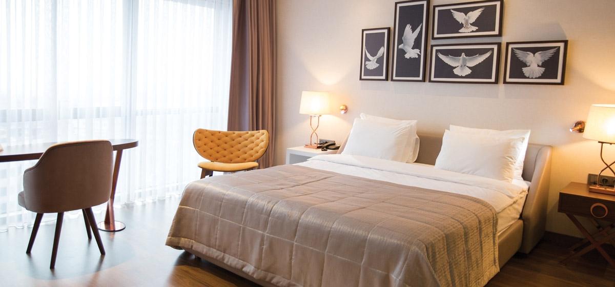 ari armchair gallery 2