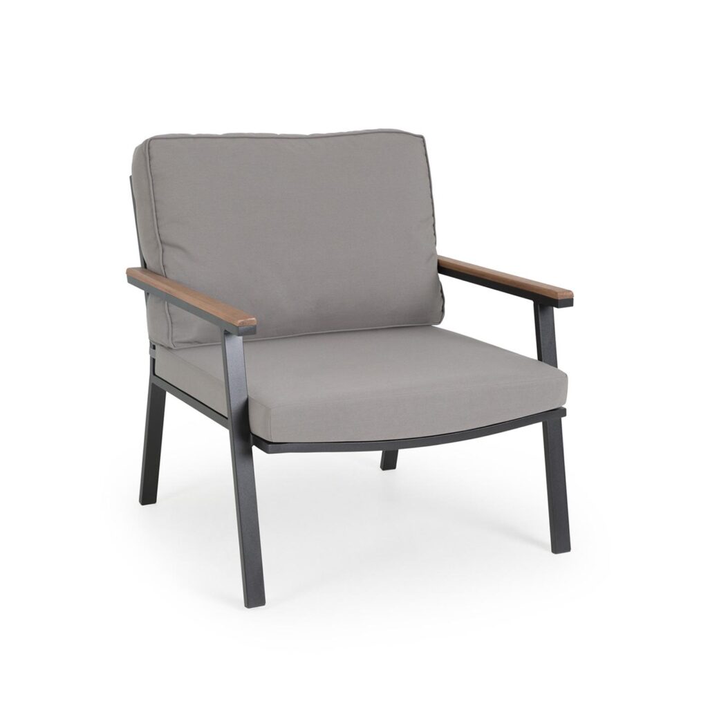 clara armchair image 1