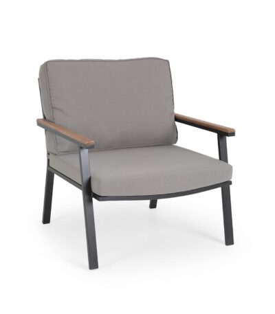 clara armchair image 1