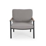 clara armchair image 2