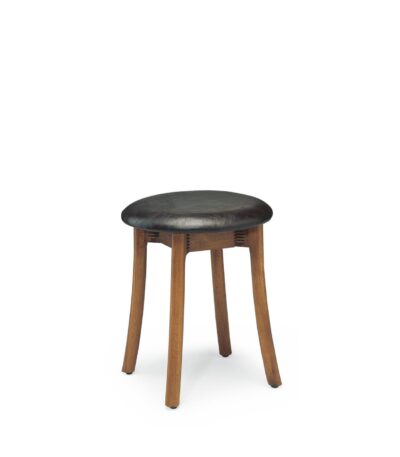 leo stool image 1