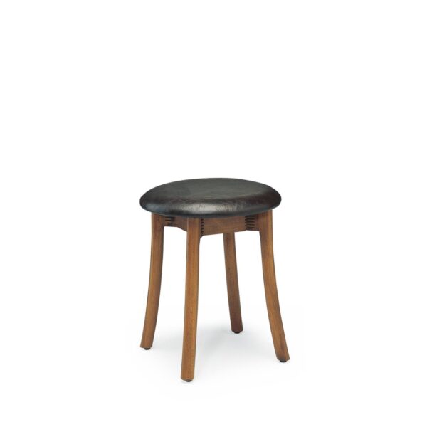 leo stool image 1