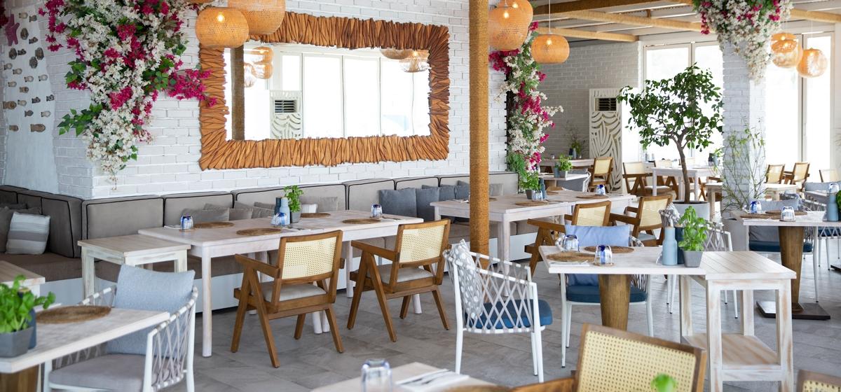 maui k chair gallery 1