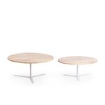 middle coffee table image 2