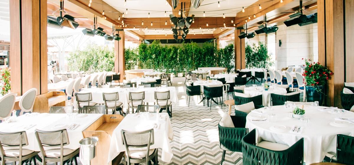 mussel chair gallery 10