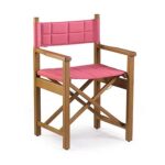 new director chair image 1