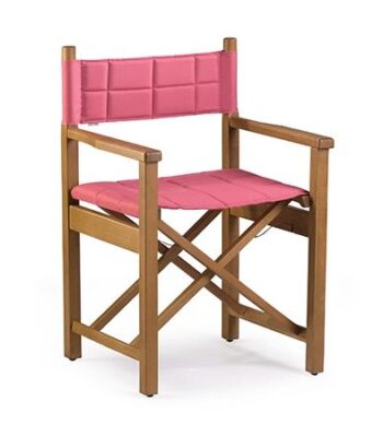 new director chair image 1