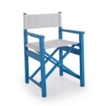 new director chair image 2