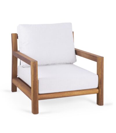 topical armchair image 1