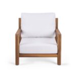 topical armchair image 2